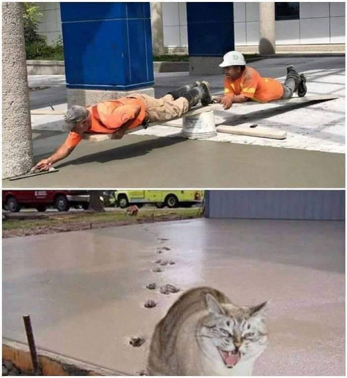Cat:cement.png