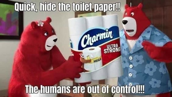 Charmin bears.jpg