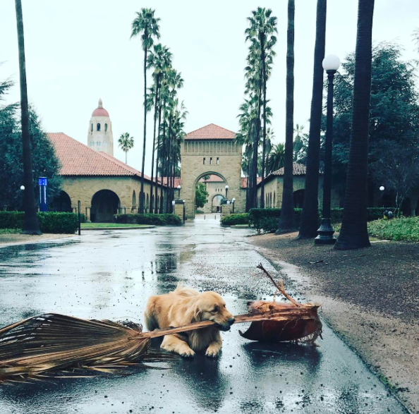 cleaning the campus.png