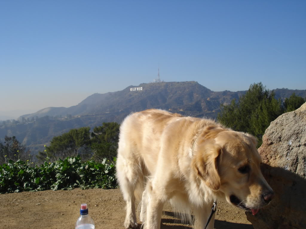 clementine griffith park.JPG