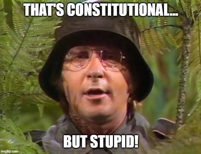 Constitutional but stupid.jpg