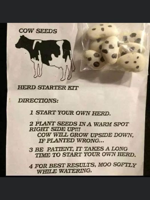cow seeds.jpg