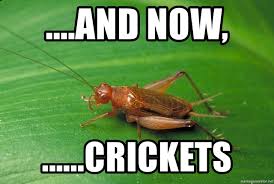 crickets.jpeg
