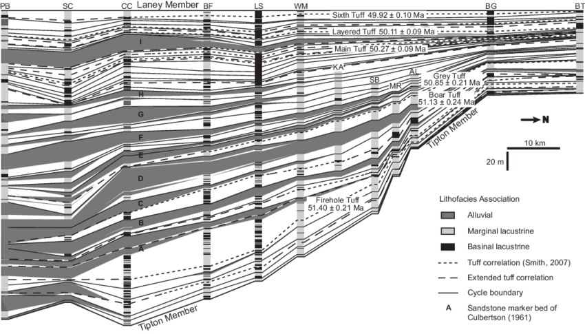 Cross-section-of-the-Wilkins-Peak-Member-of-the-Green-River-Formation-showing (1).png