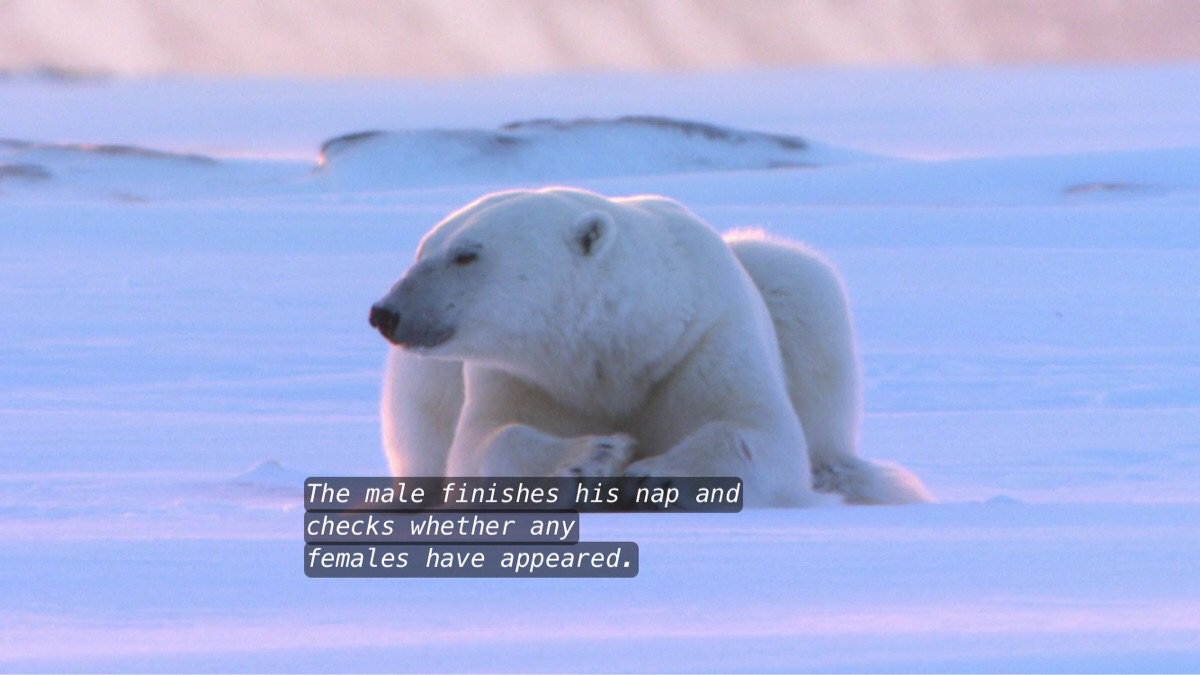 CZl2C_tUkAAEy2X.jpg