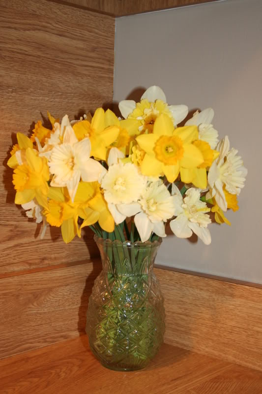 Daffodils_0224.jpg