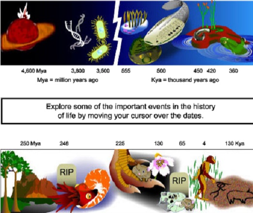 darwins_timeline.jpg