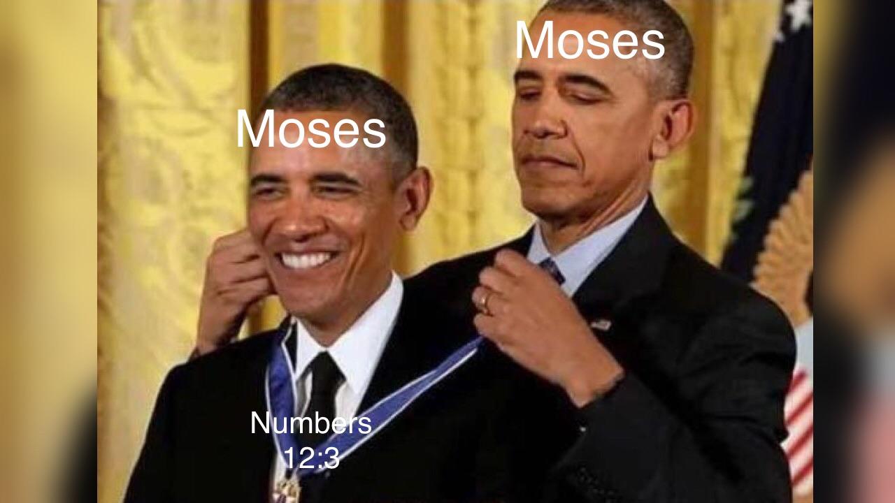 ddd7c8e.jpg