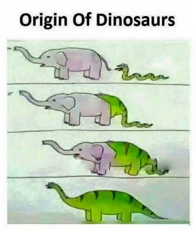 dino.jpg