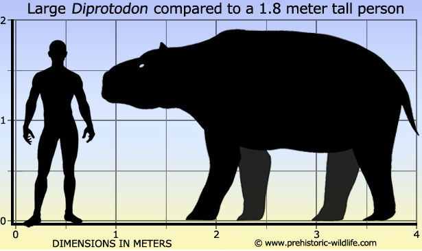 diprotodon.png