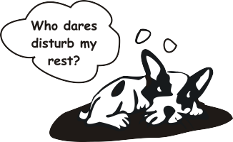 do not disturb small.png