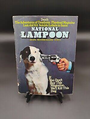 dog.jpeg