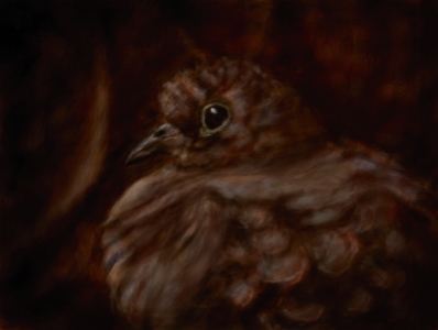 dove colors cor2sm.png