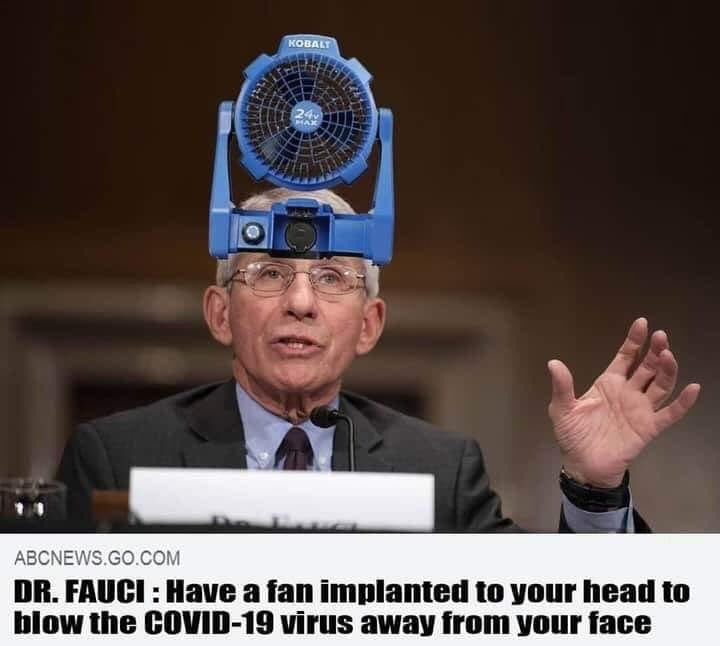 Dr_Fauci_Fan_Head.jpg