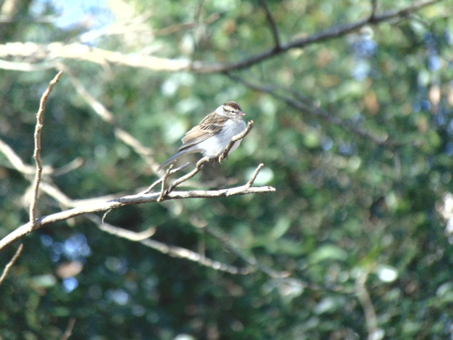 DSC00891.JPG