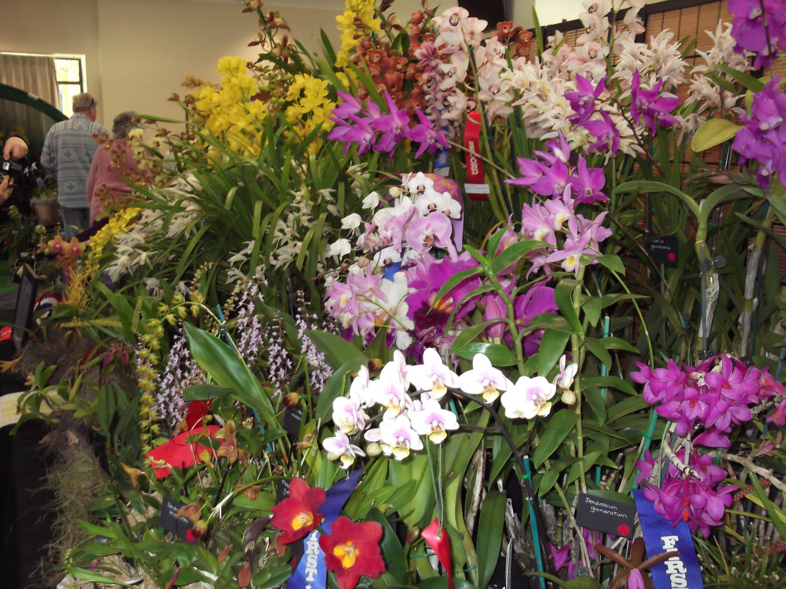 DSCF0641.JPG