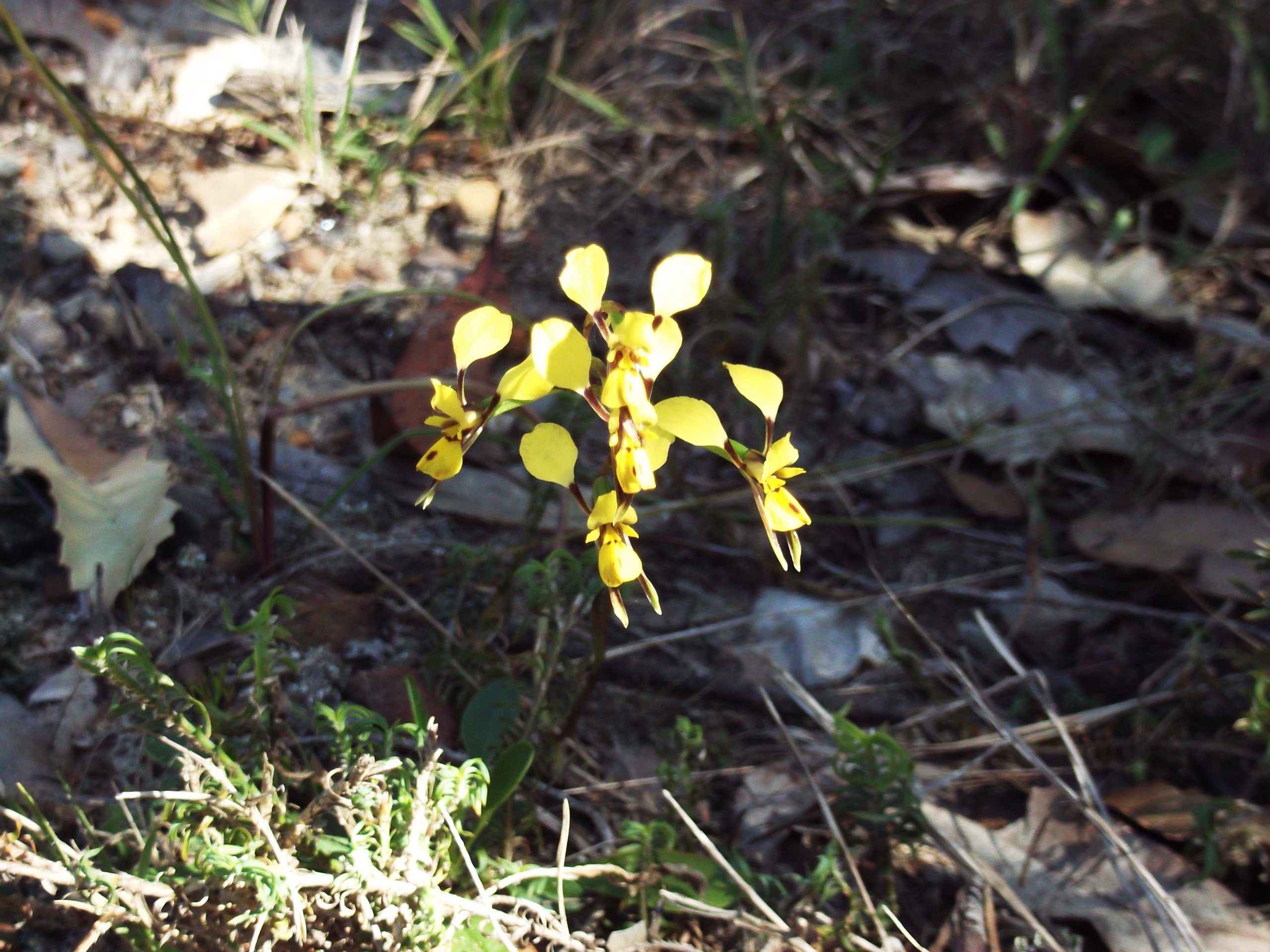 DSCF1140.JPG