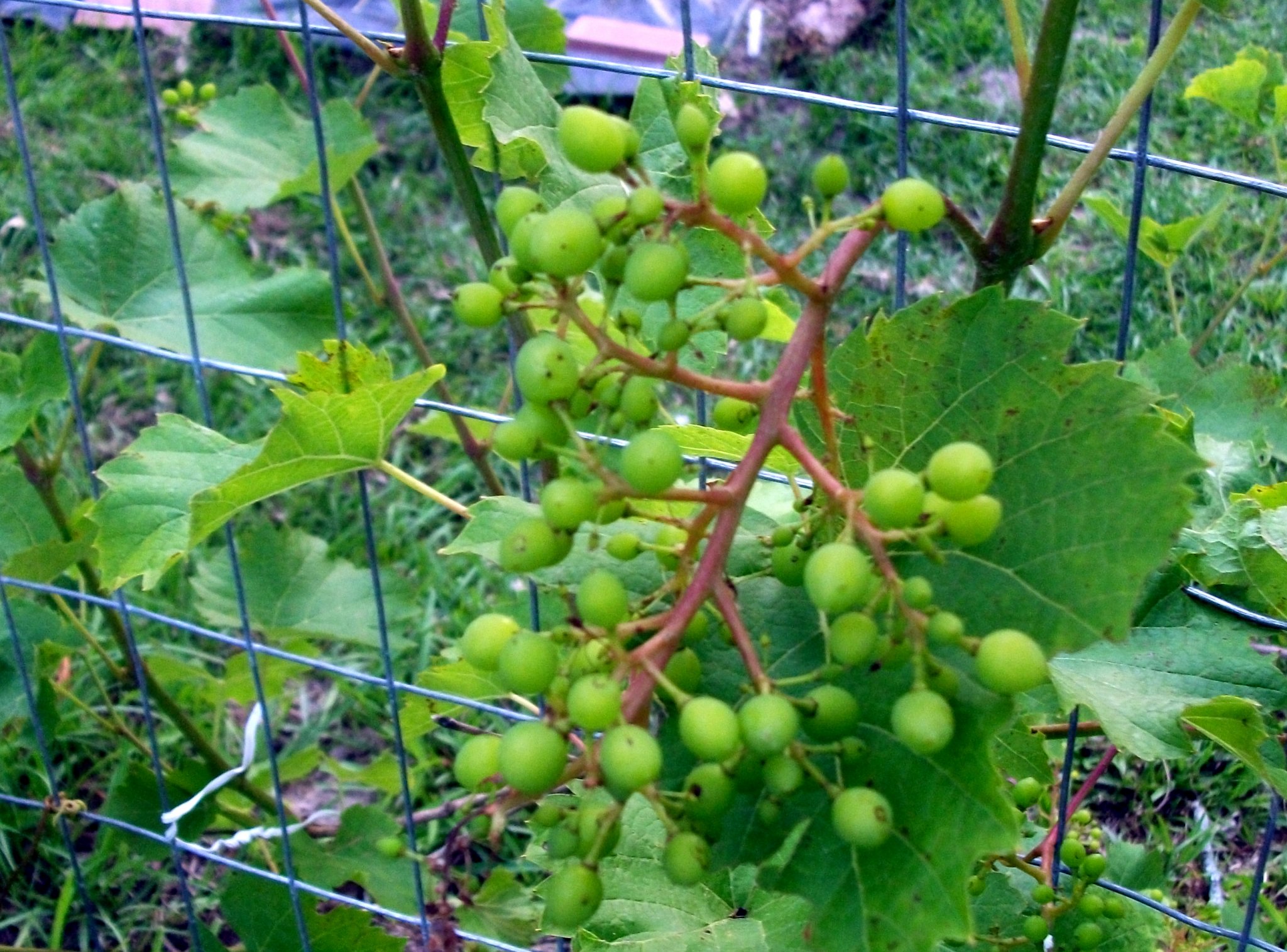 DSCF3262.JPG