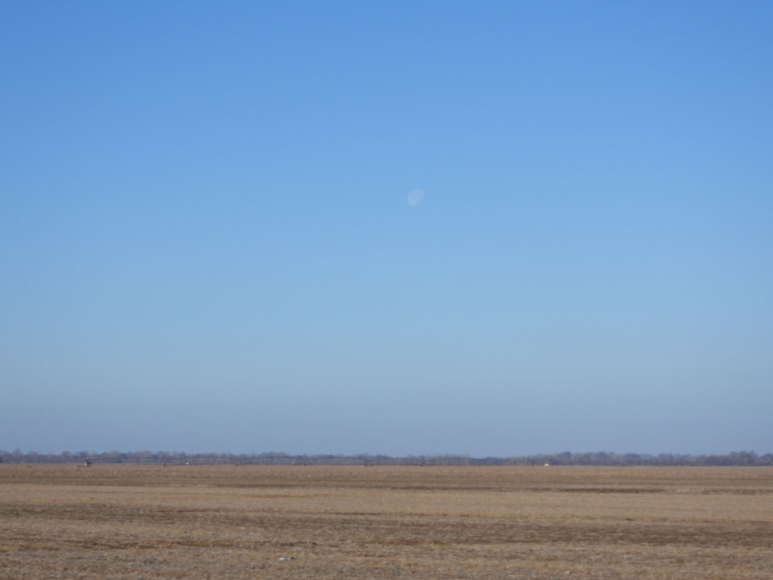 DSCN0162.JPG