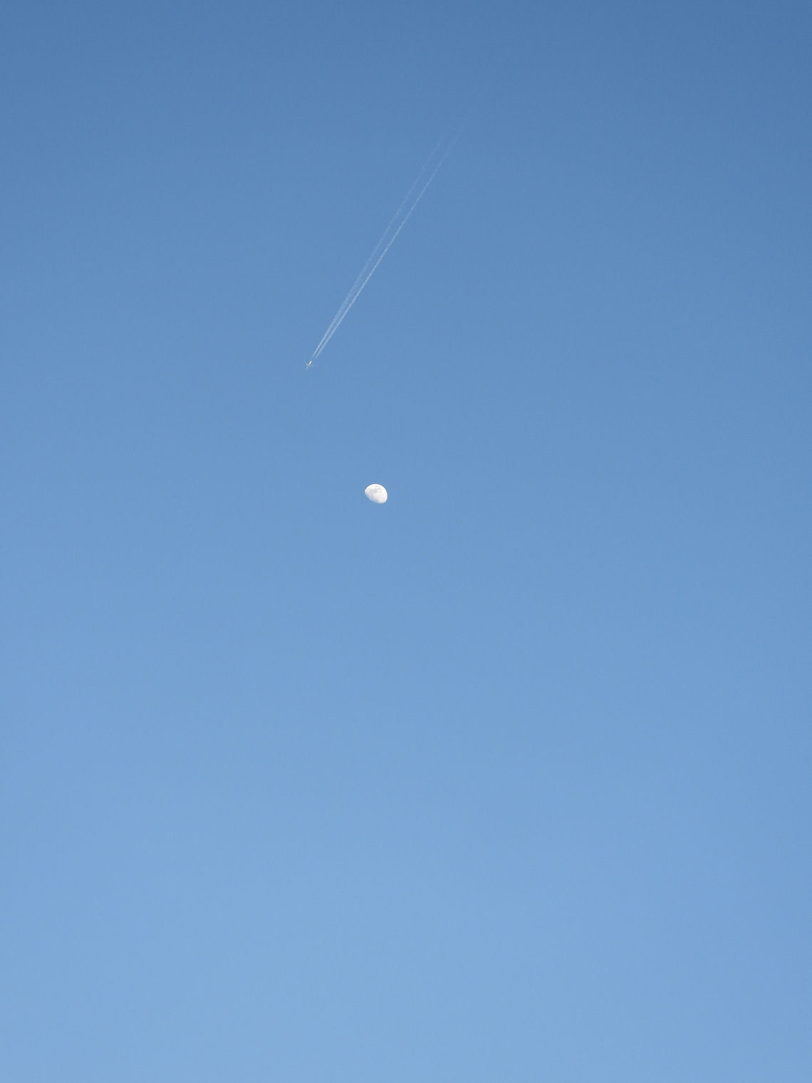 DSCN0199+.jpg
