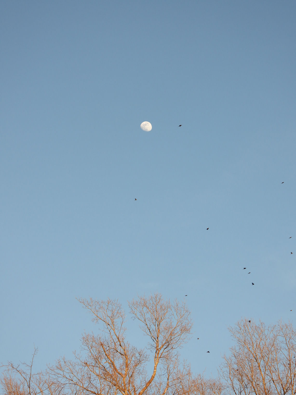 DSCN0213.JPG