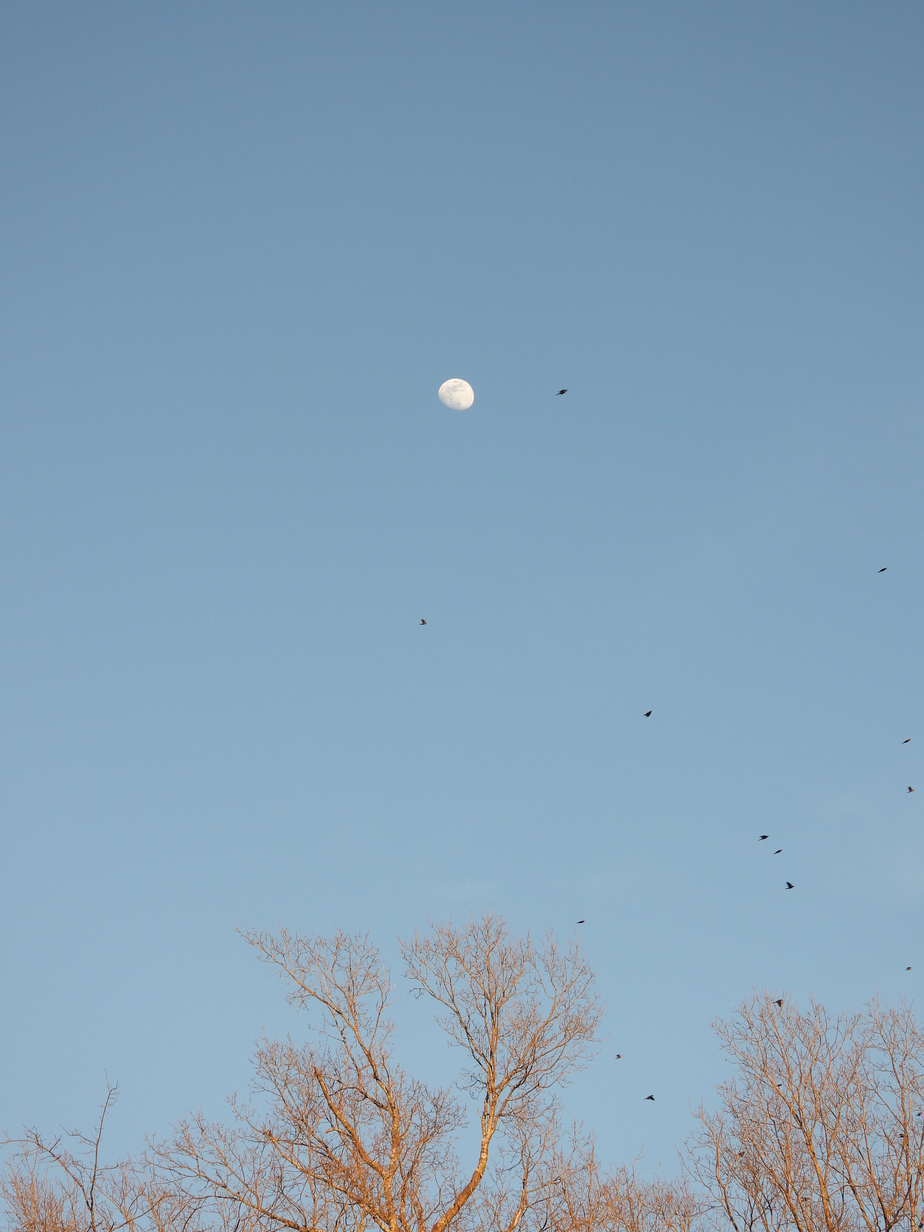 DSCN0213.JPG