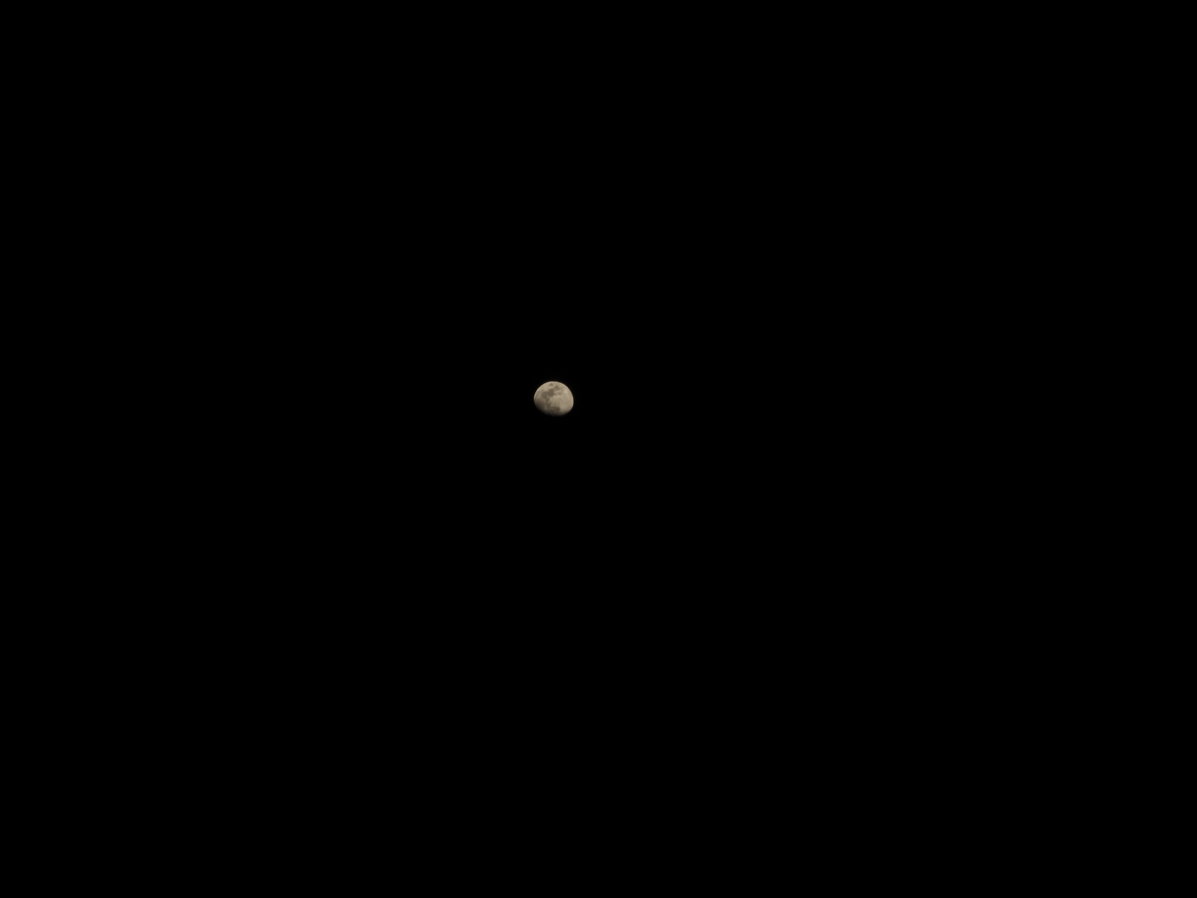 DSCN0221.JPG