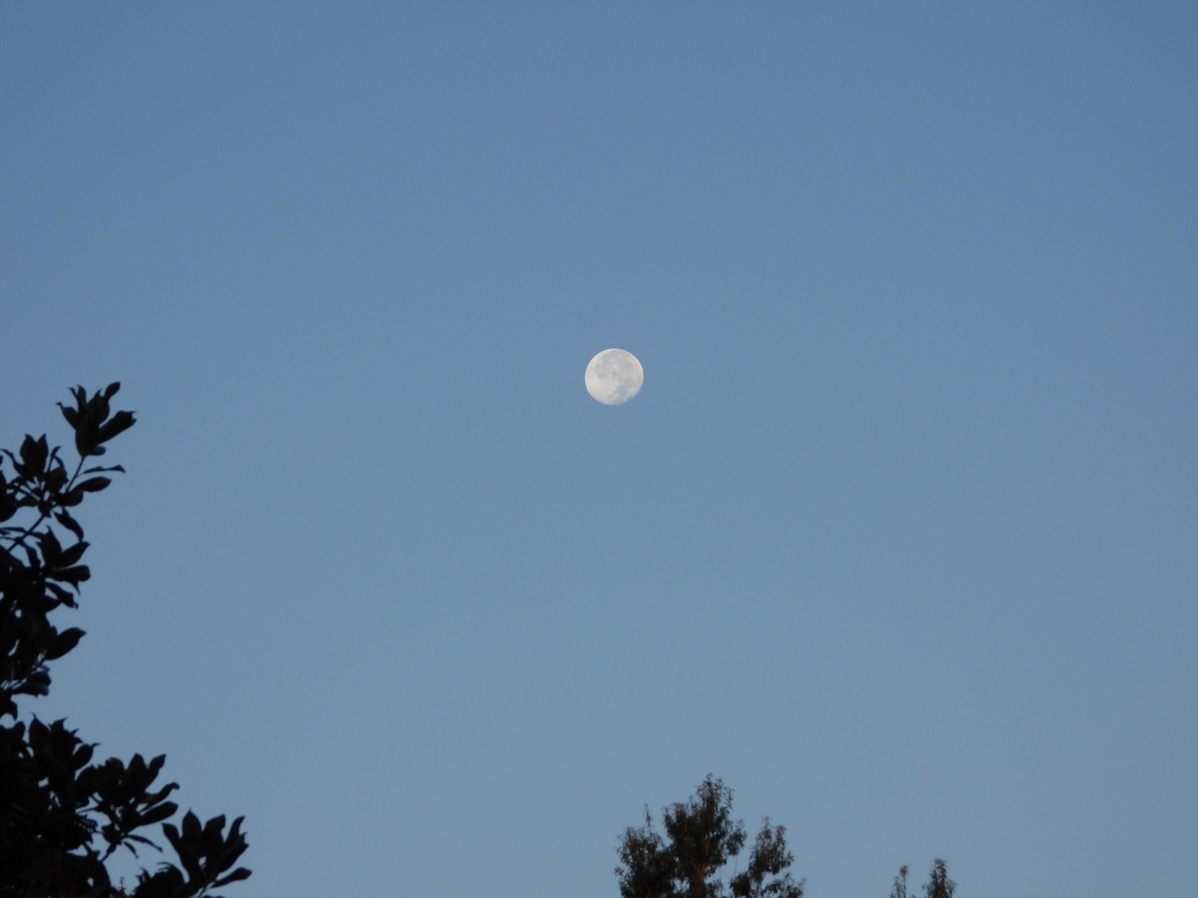 DSCN0662.JPG
