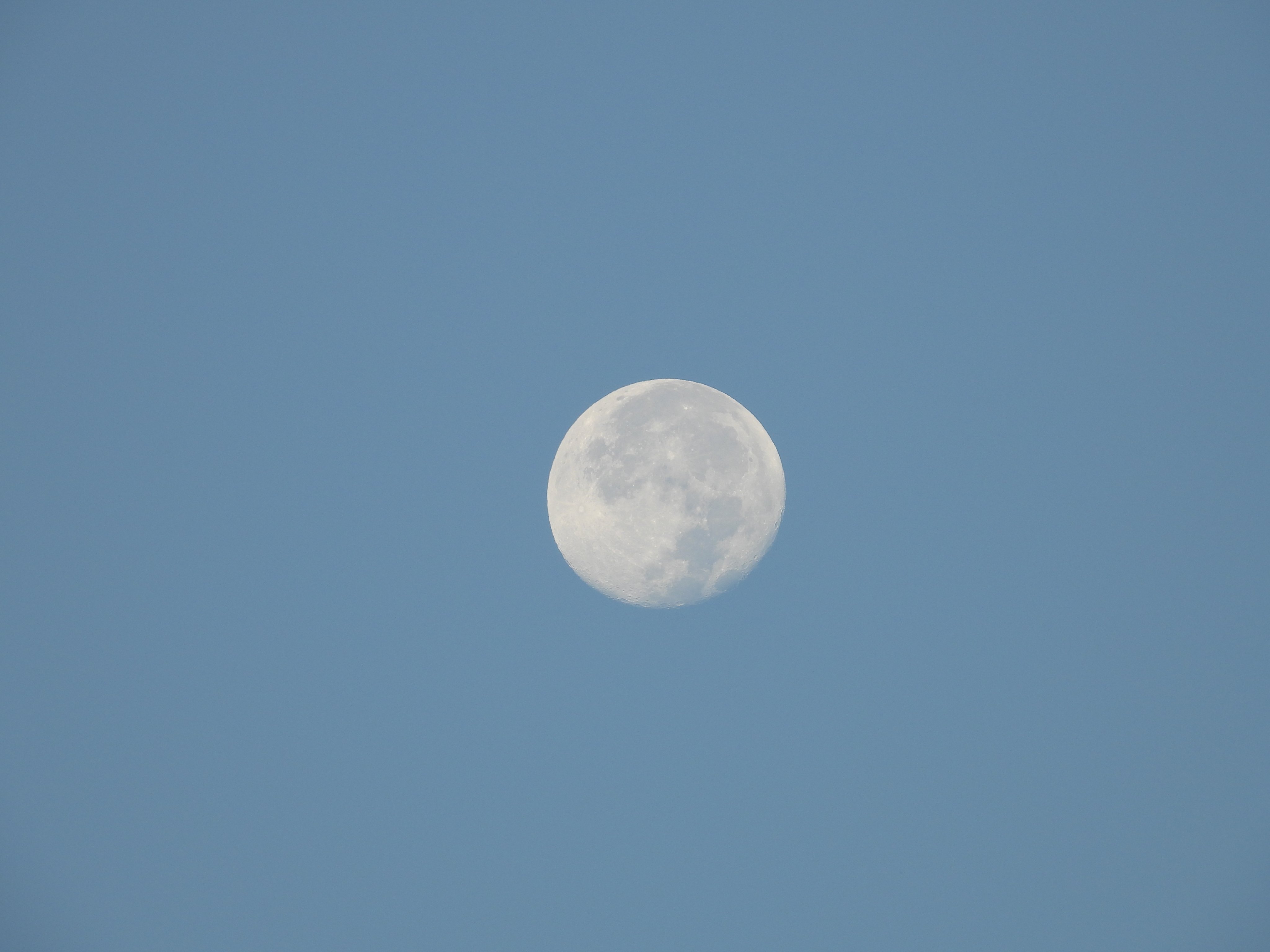 DSCN0665.JPG