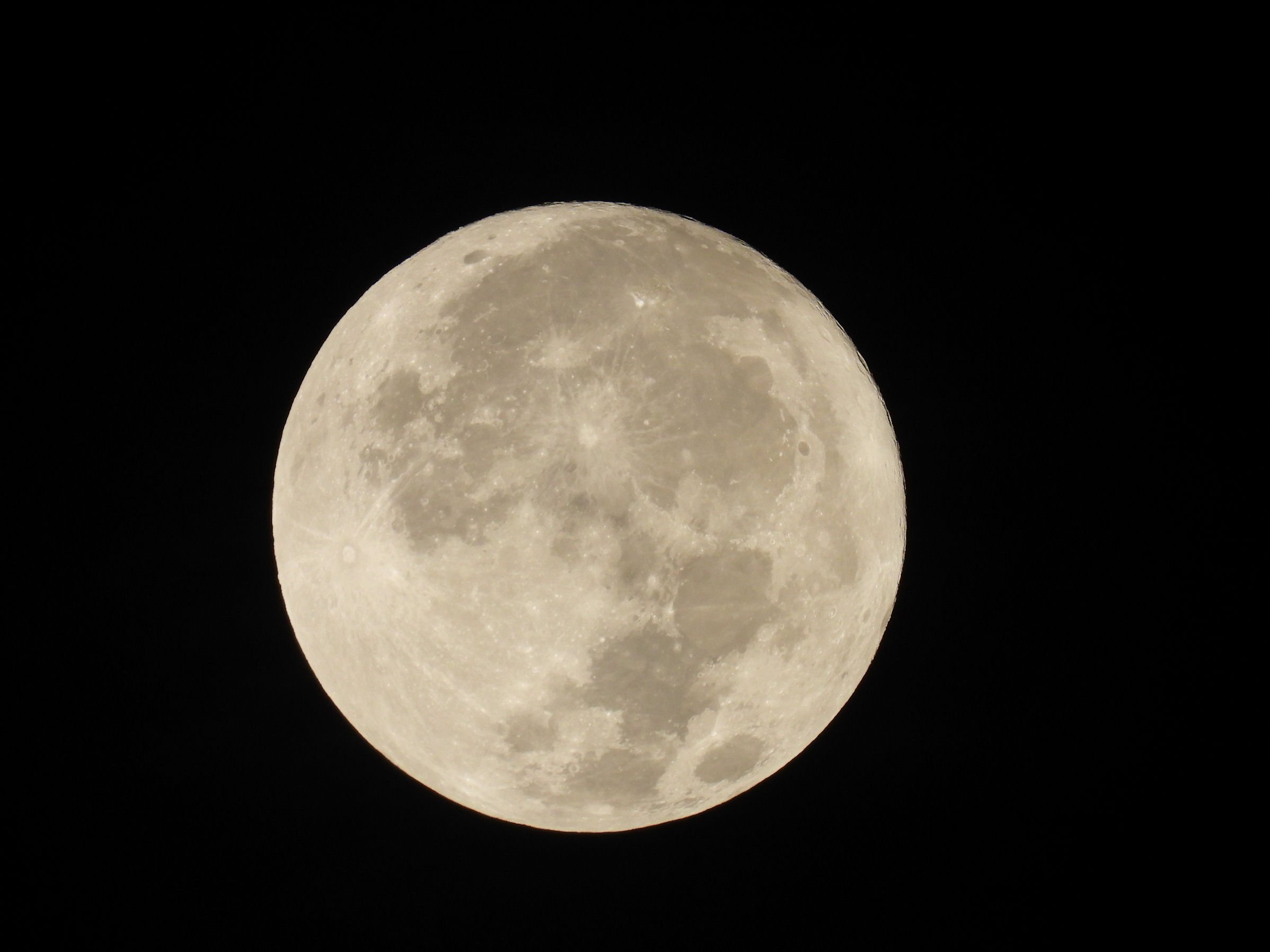 DSCN0744+.jpg