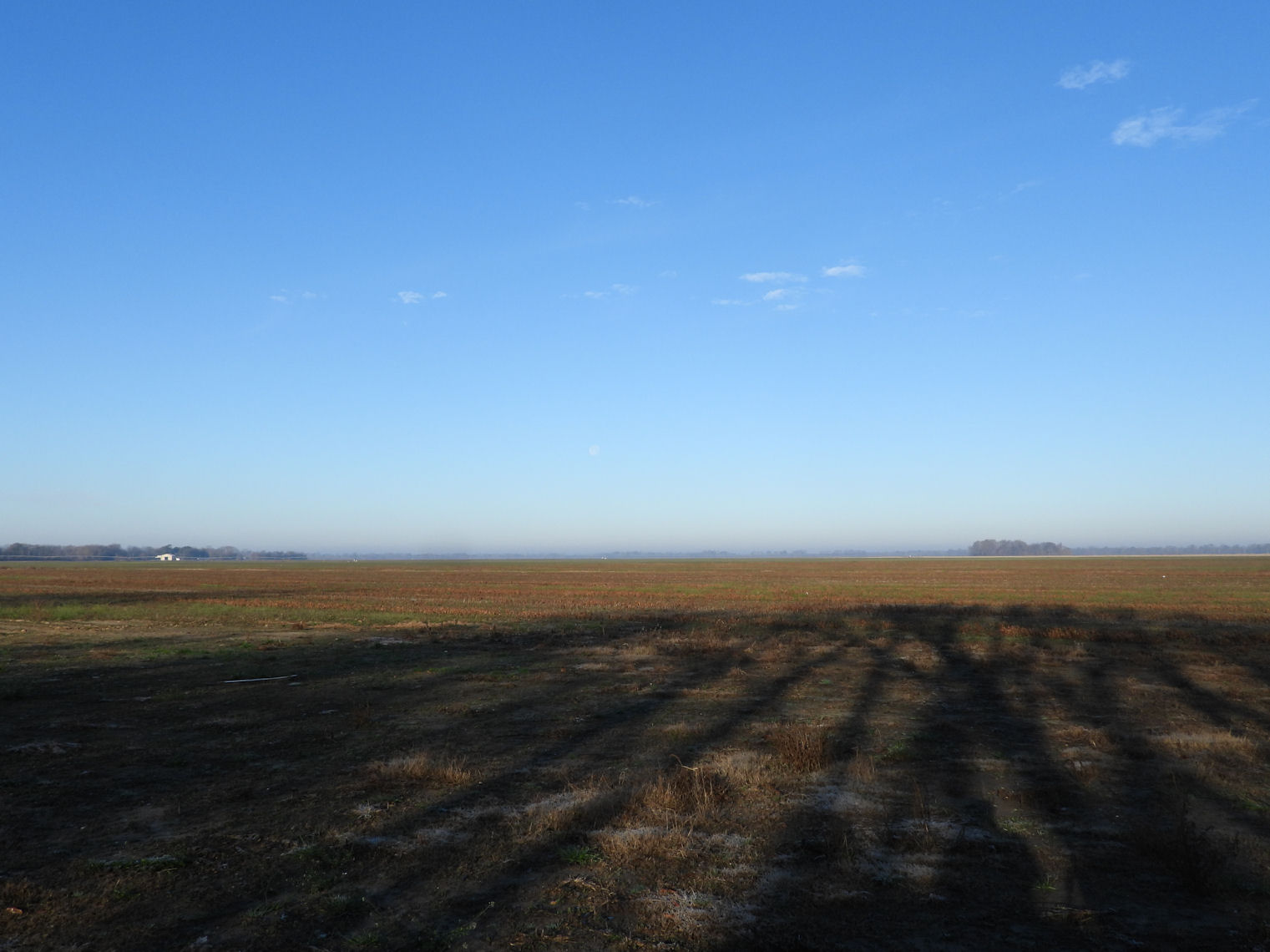 DSCN1579+.jpg