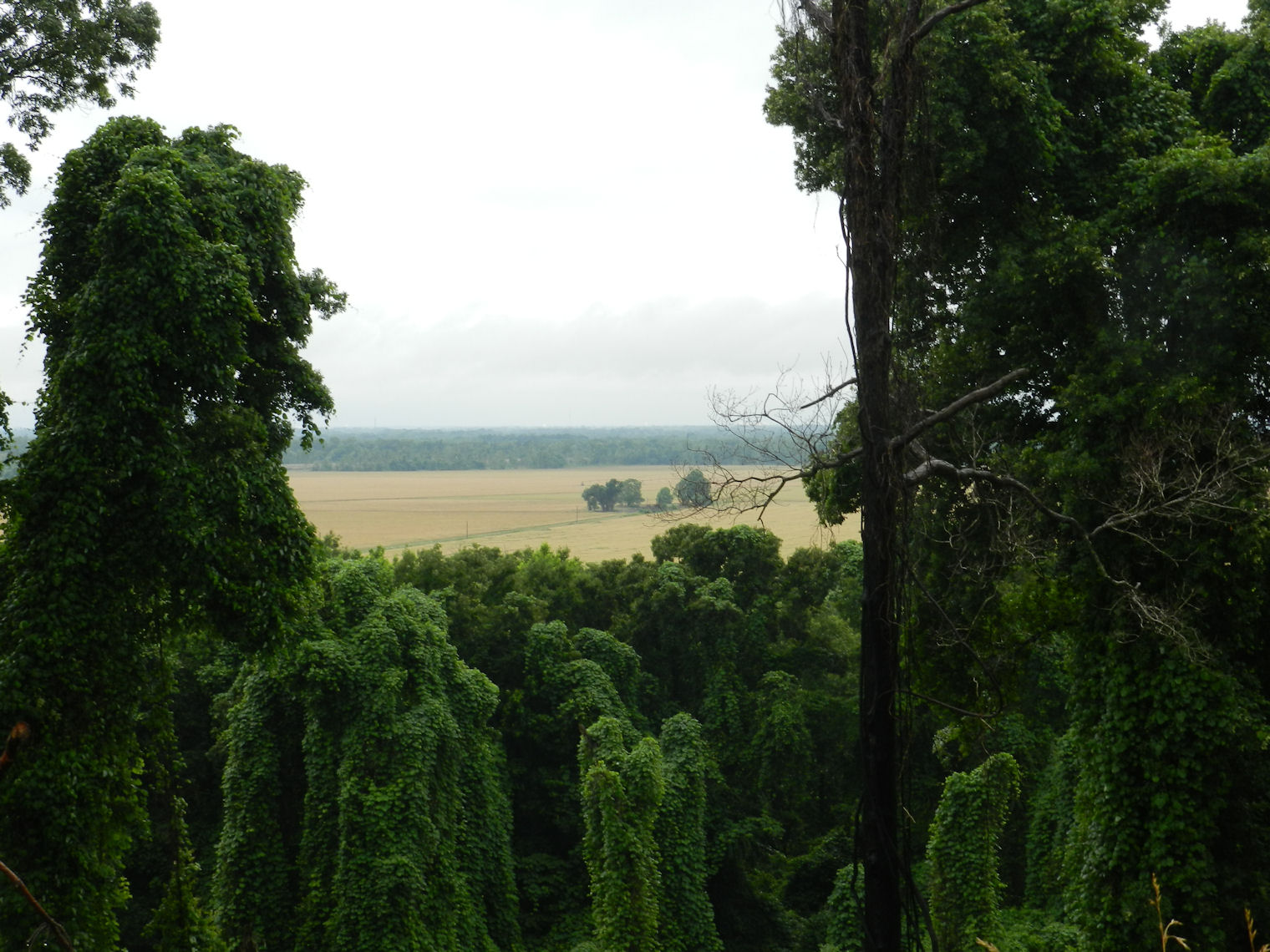 DSCN2238+.jpg