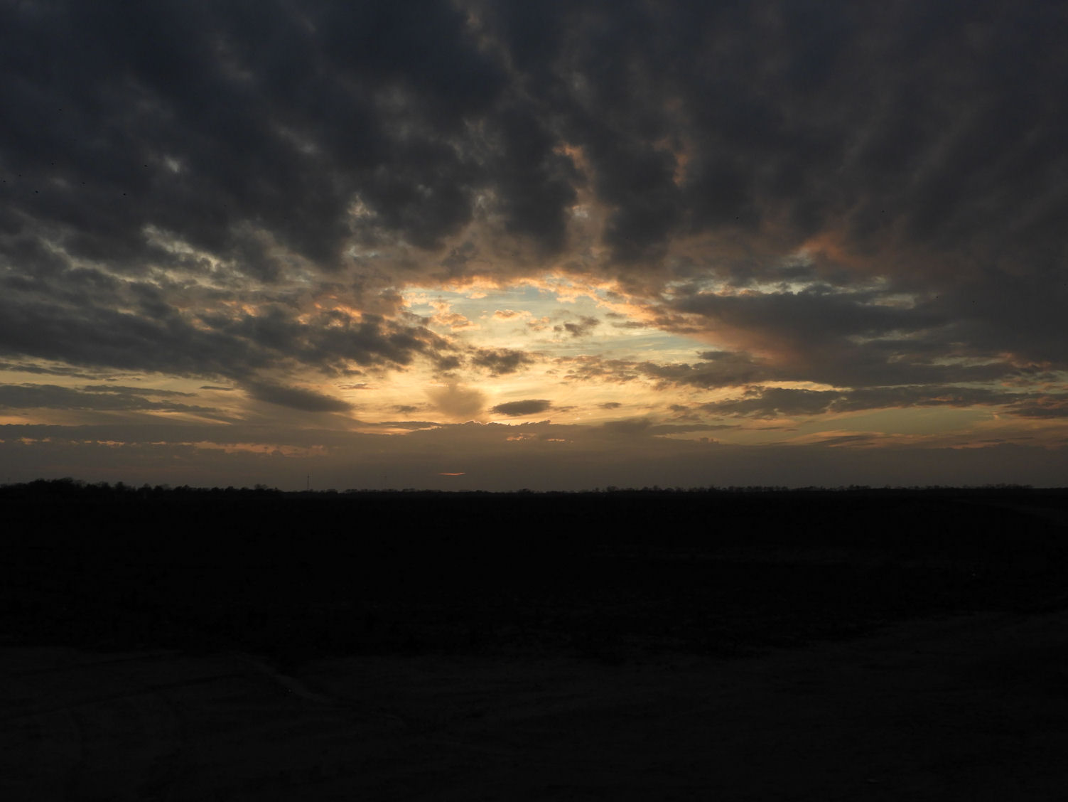 DSCN4132+.jpg