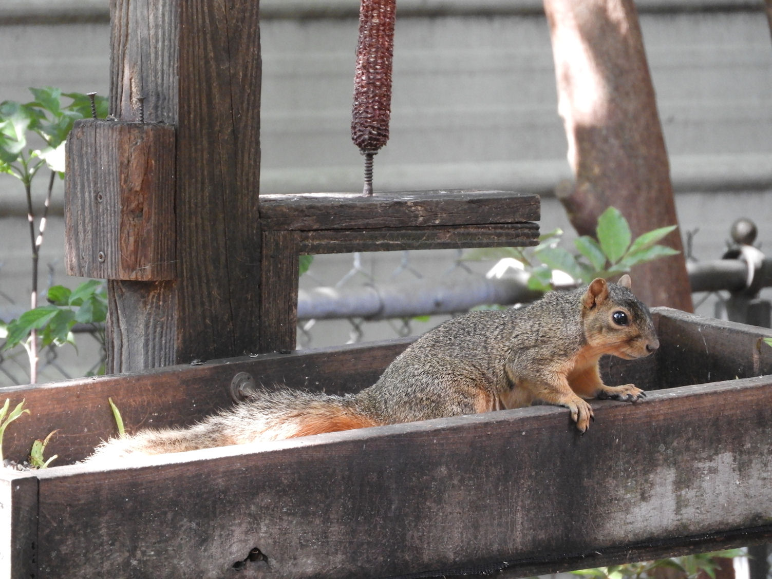 DSCN4846+.jpg