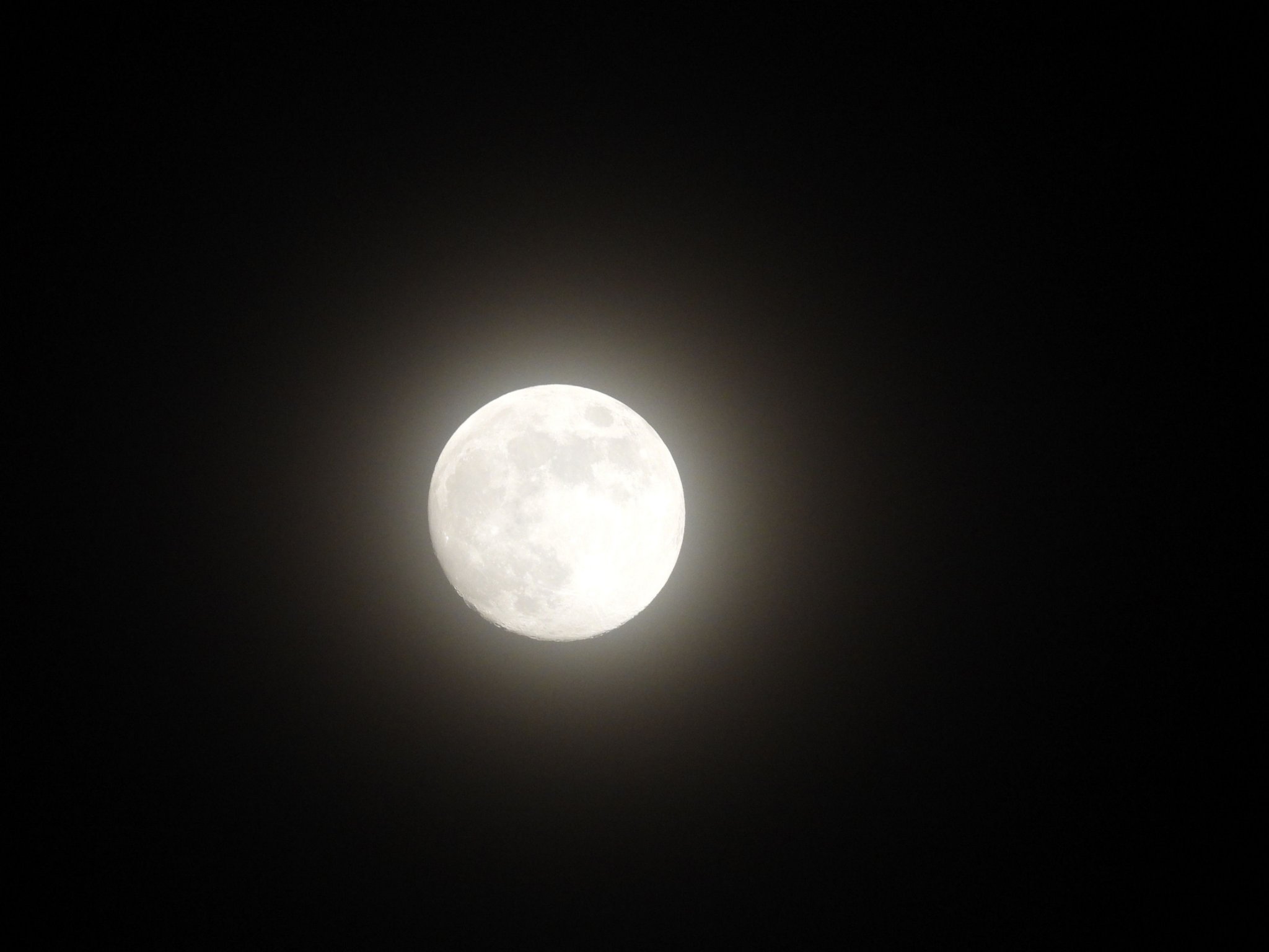 DSCN5645+.jpg