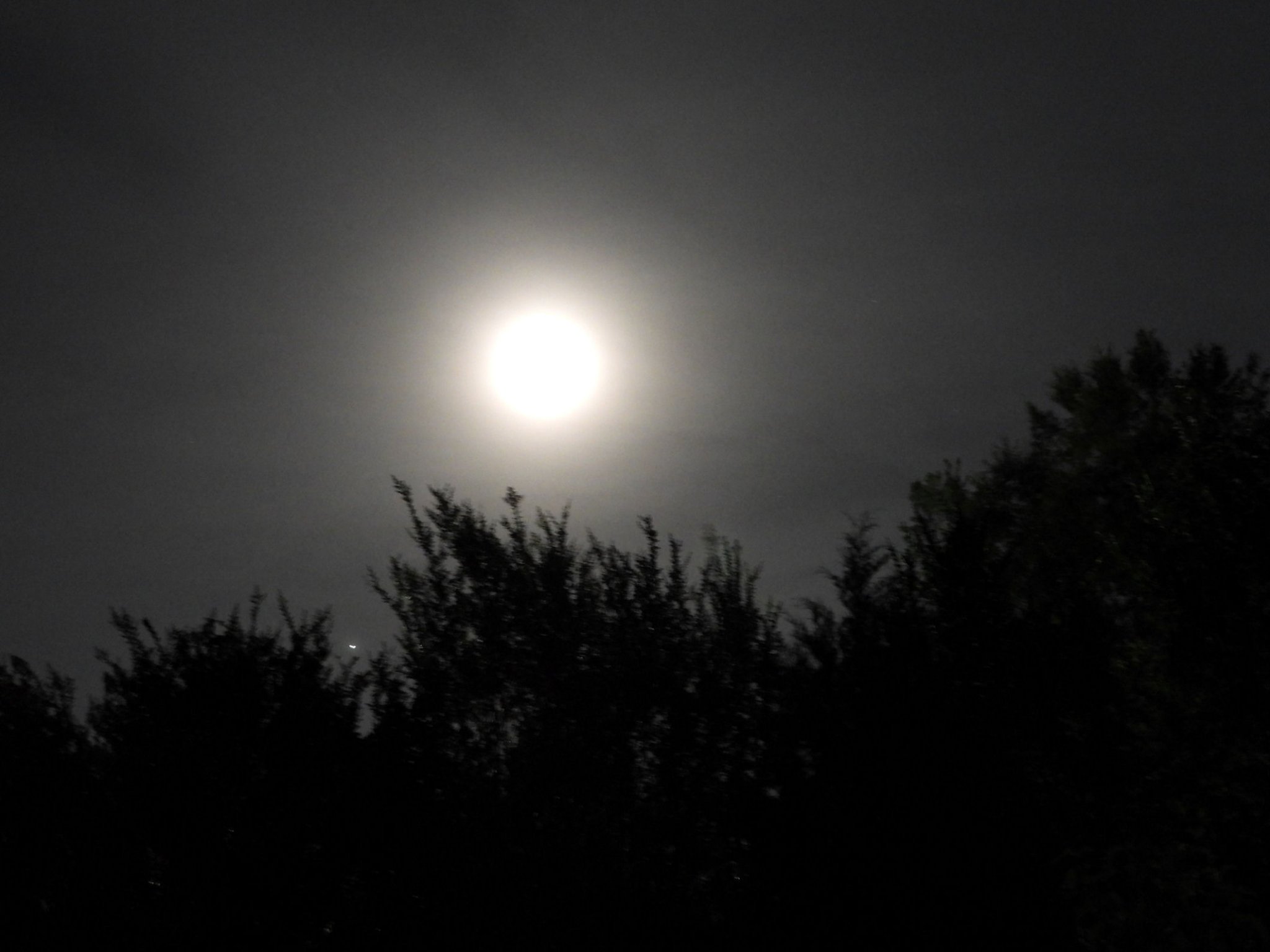 DSCN5646+.jpg