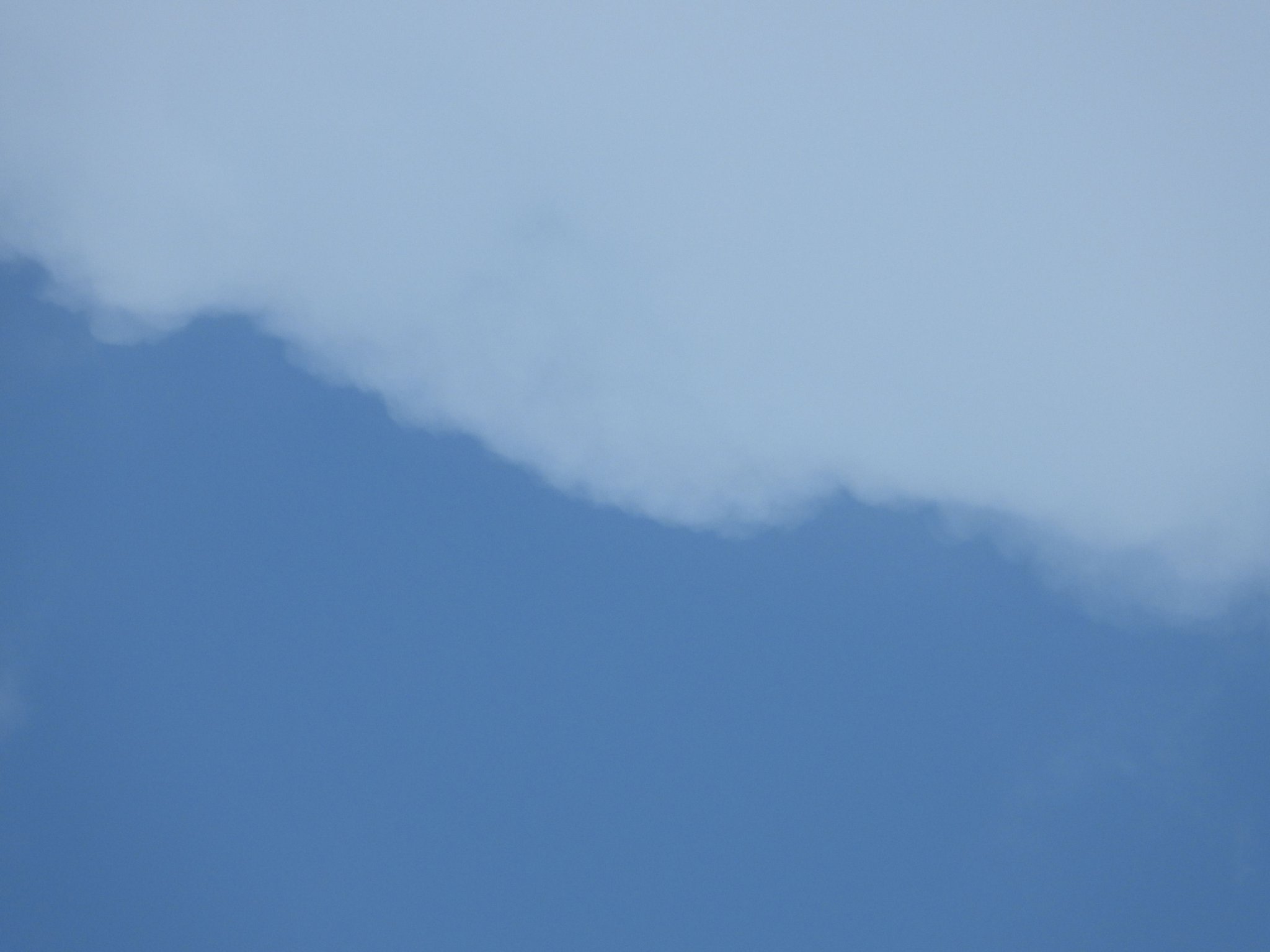 DSCN5698+.jpg