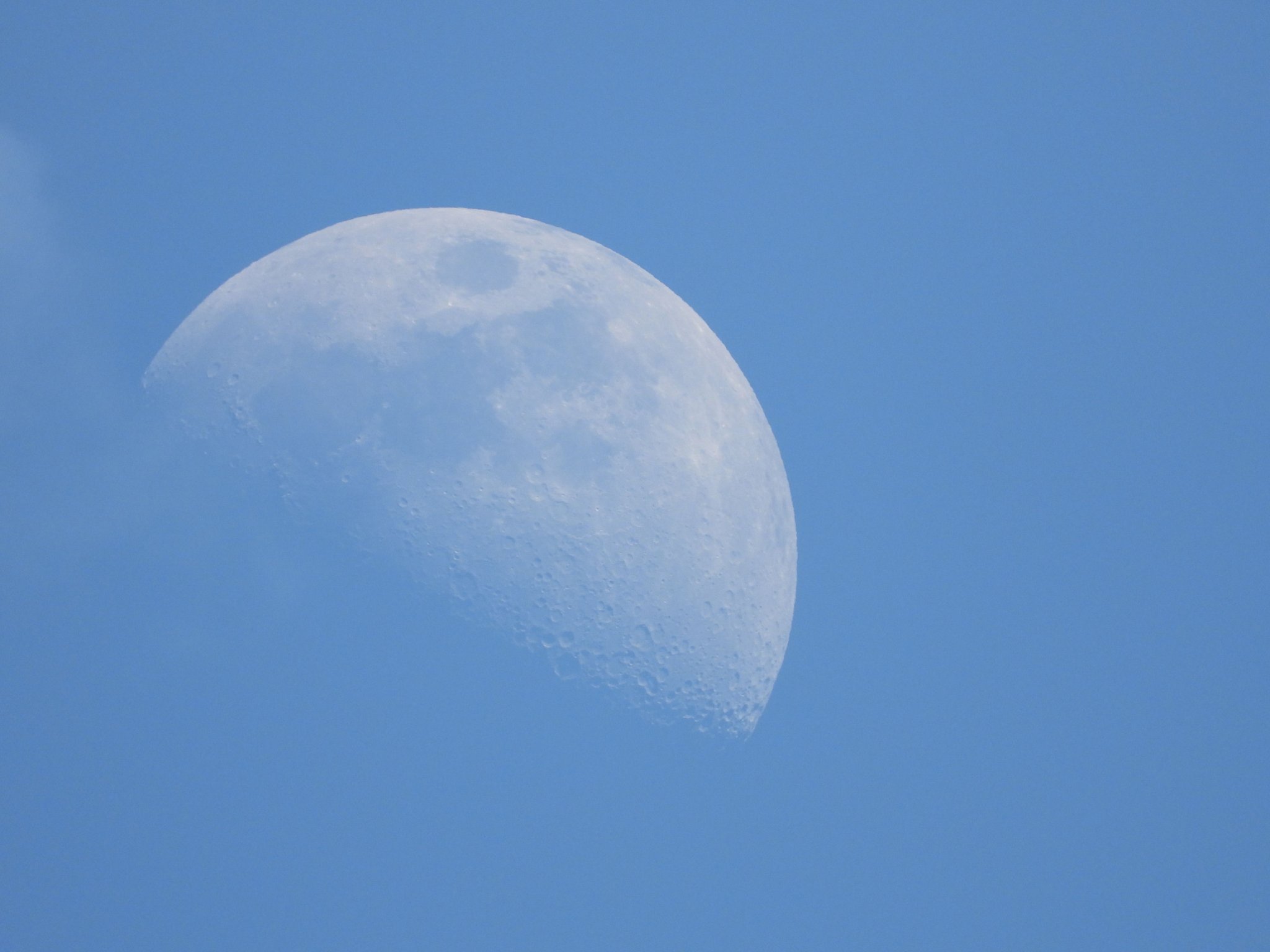 DSCN5700+.jpg