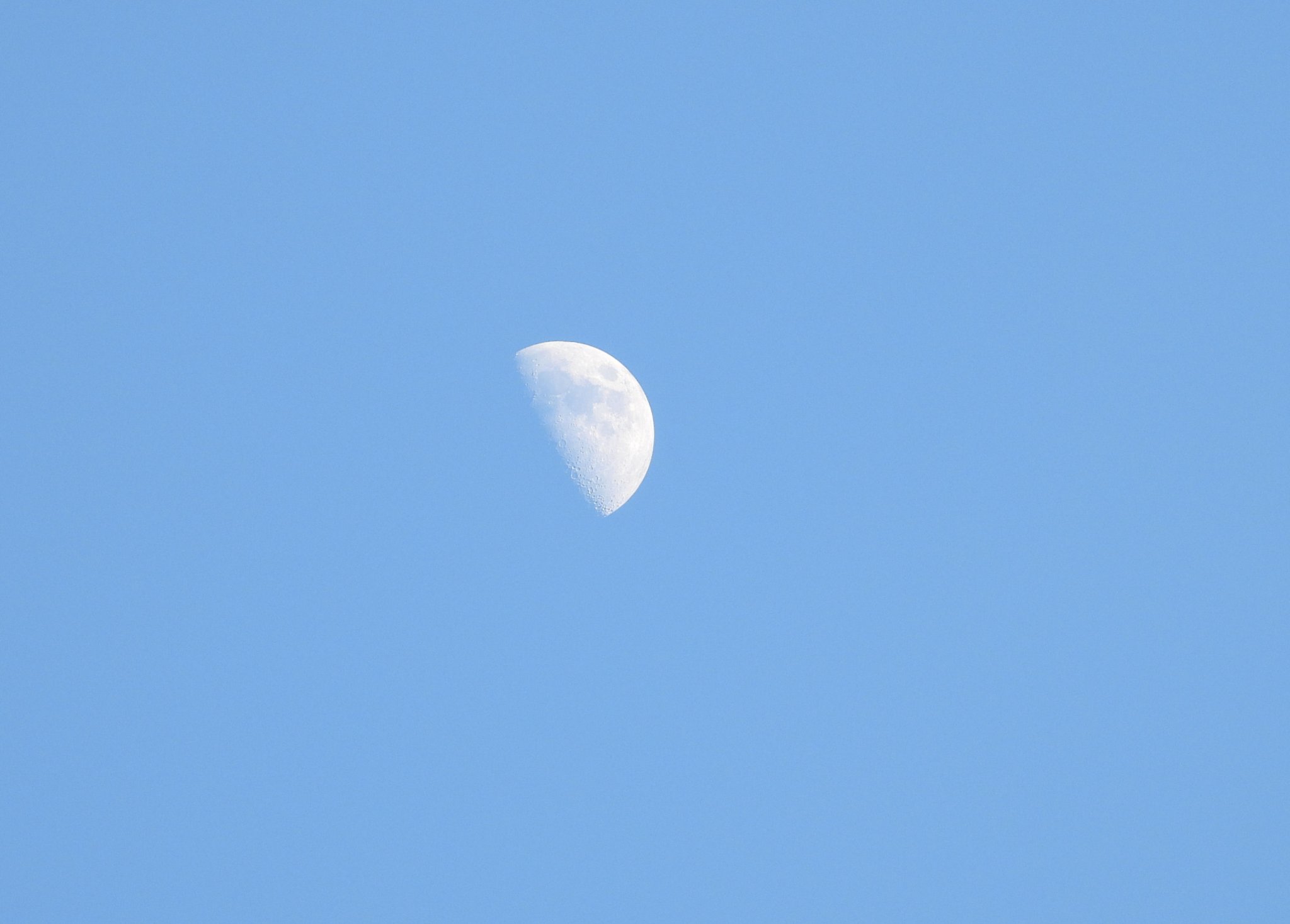 DSCN5708+.jpg