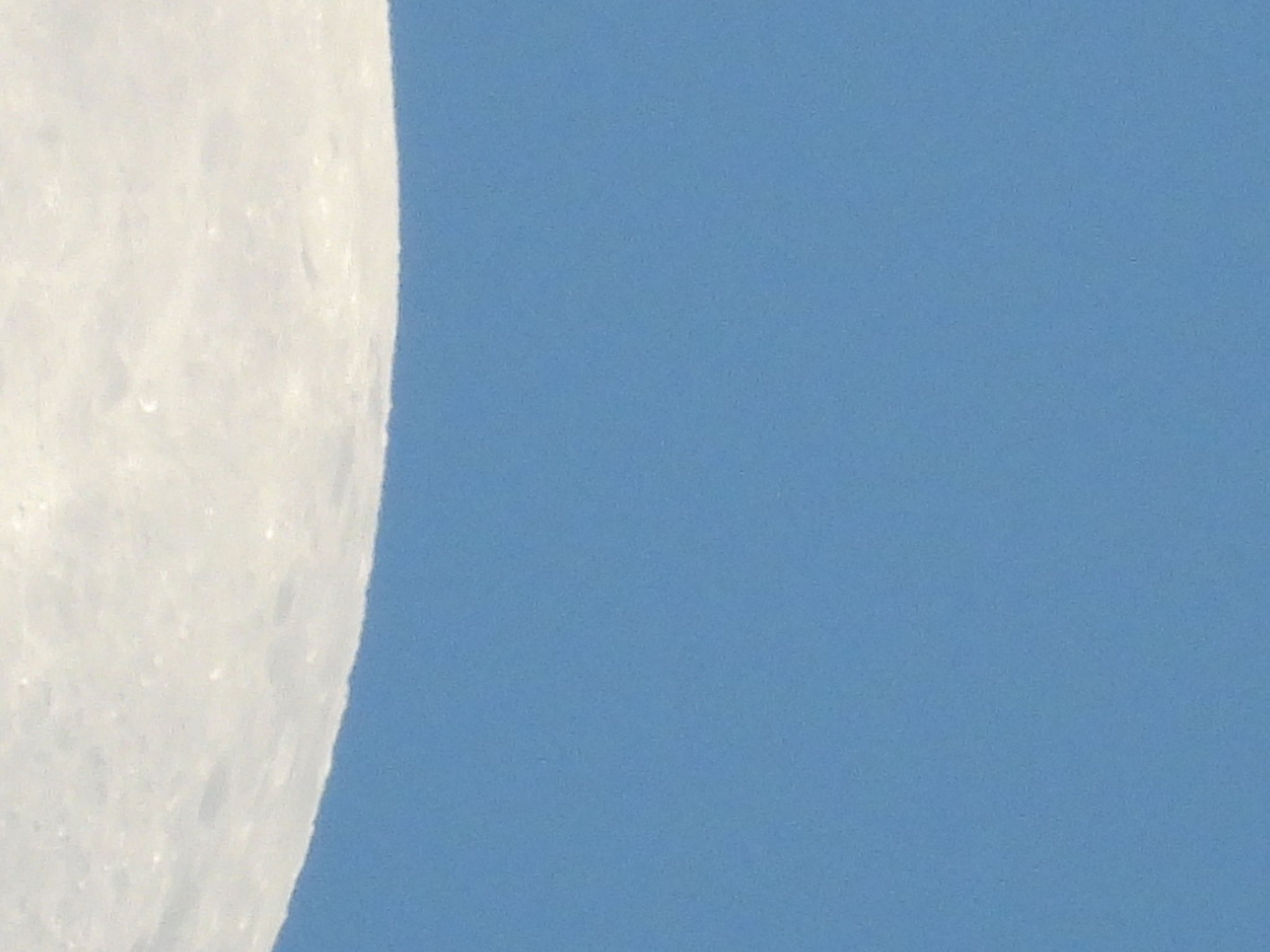DSCN5714+.jpg