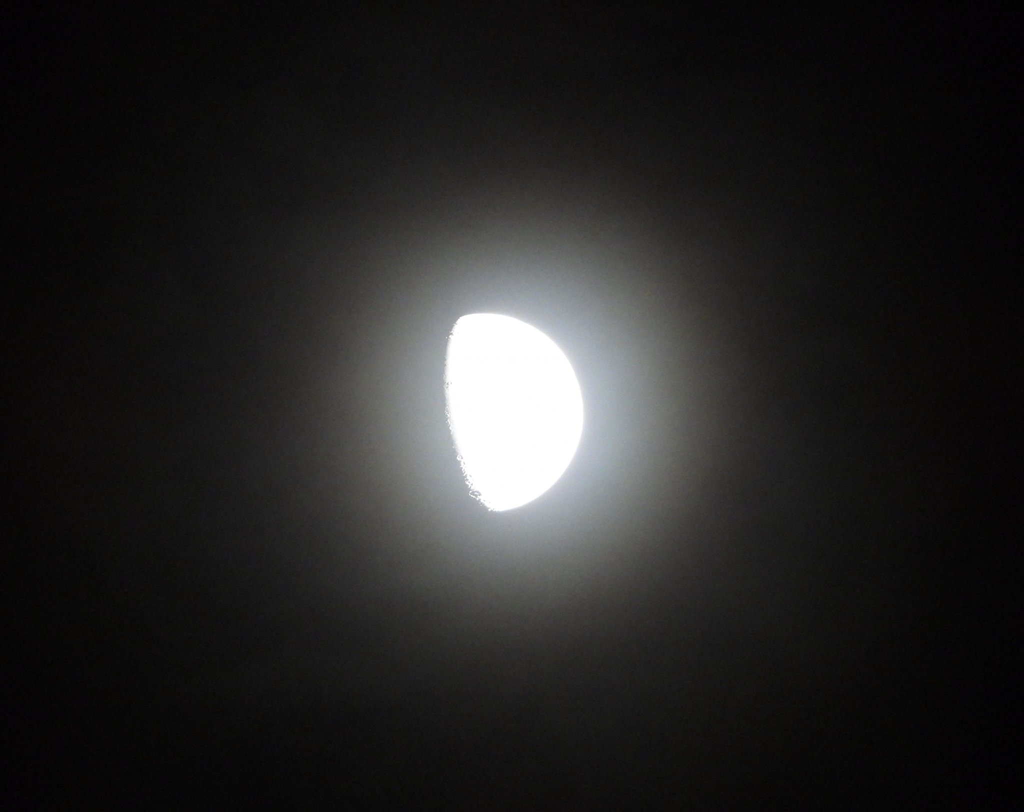 DSCN5728+.jpg