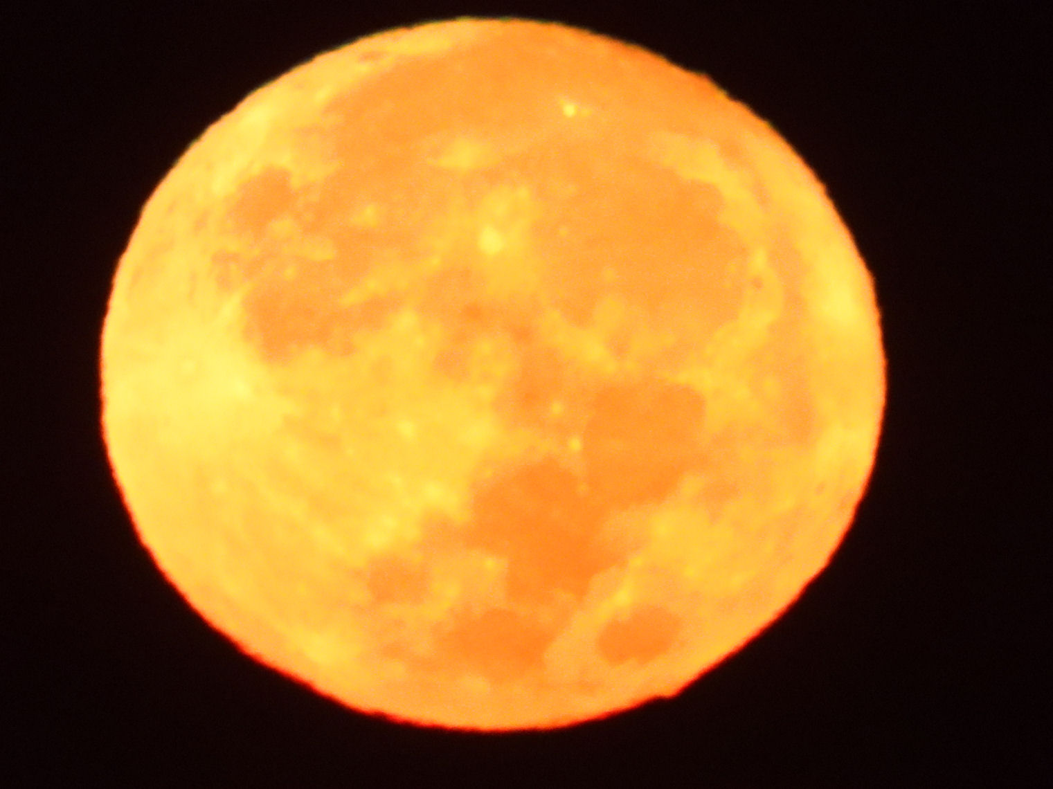 DSCN7448.JPG