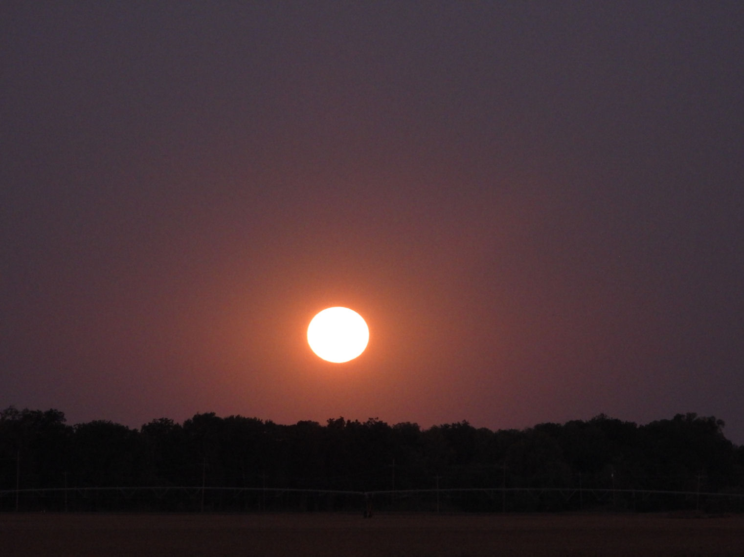 DSCN7452+.jpg