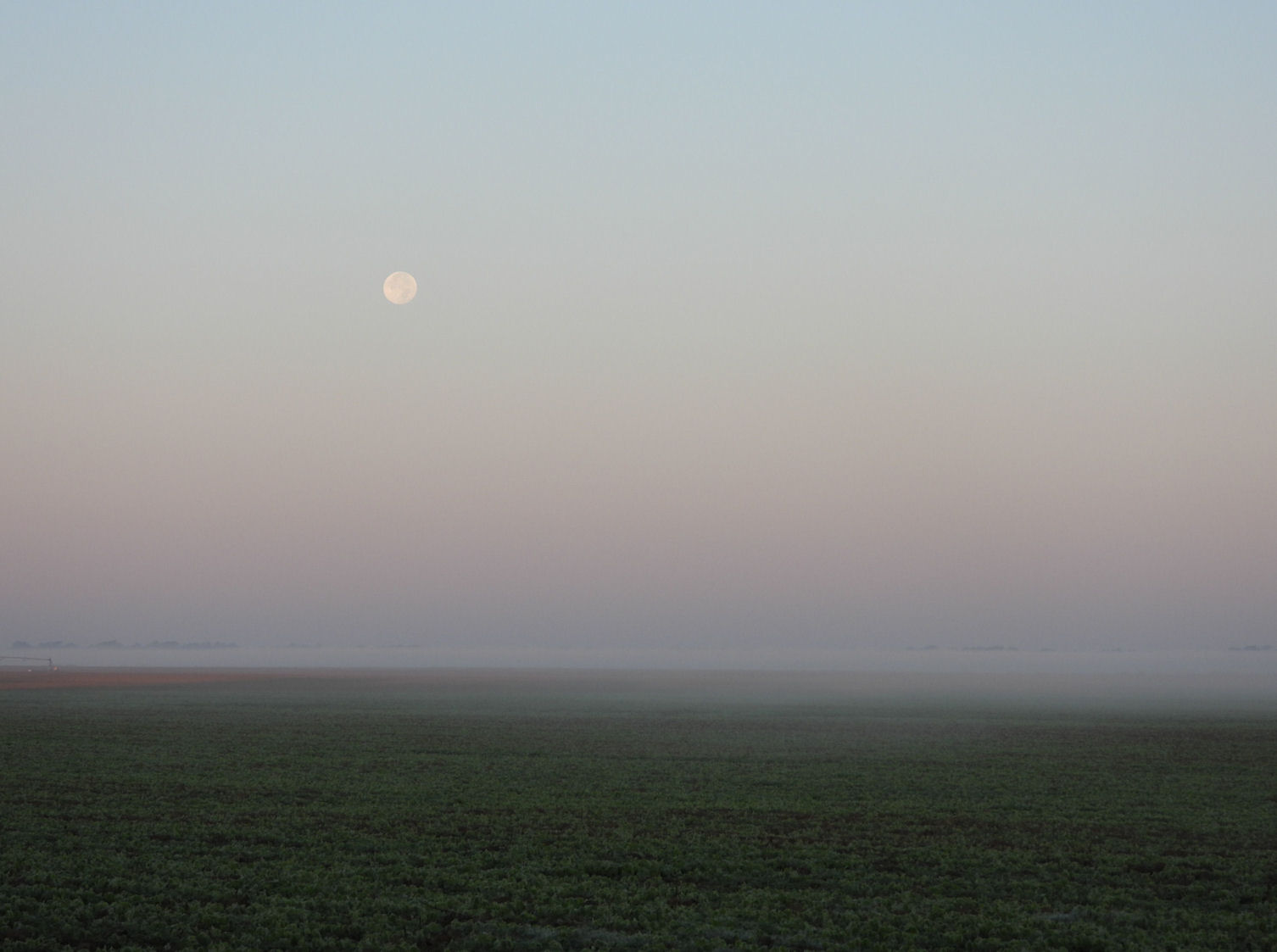 DSCN7657+.jpg