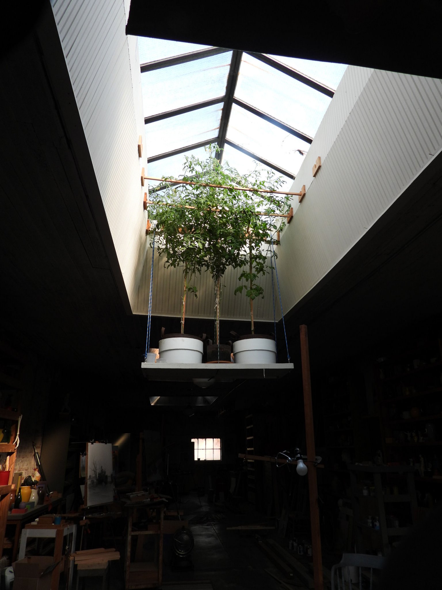 DSCN7695+.jpg