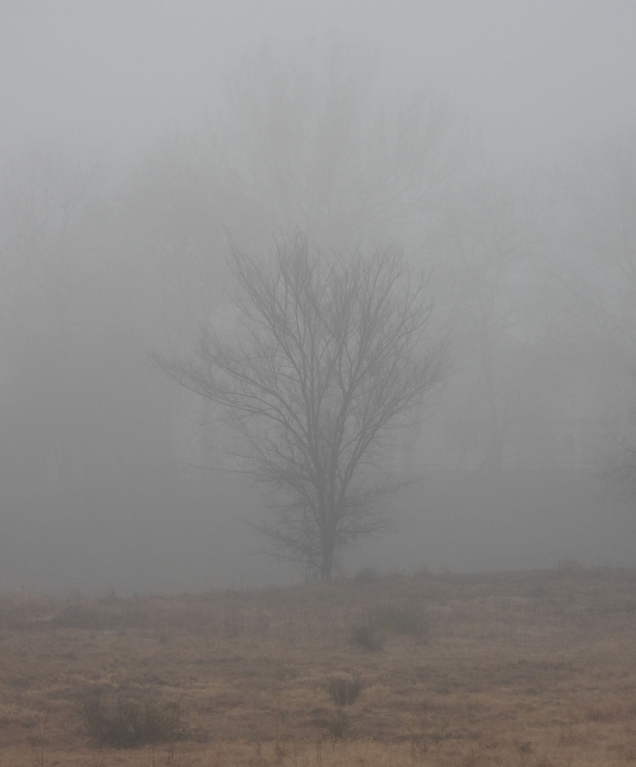 DSCN7771+.jpg