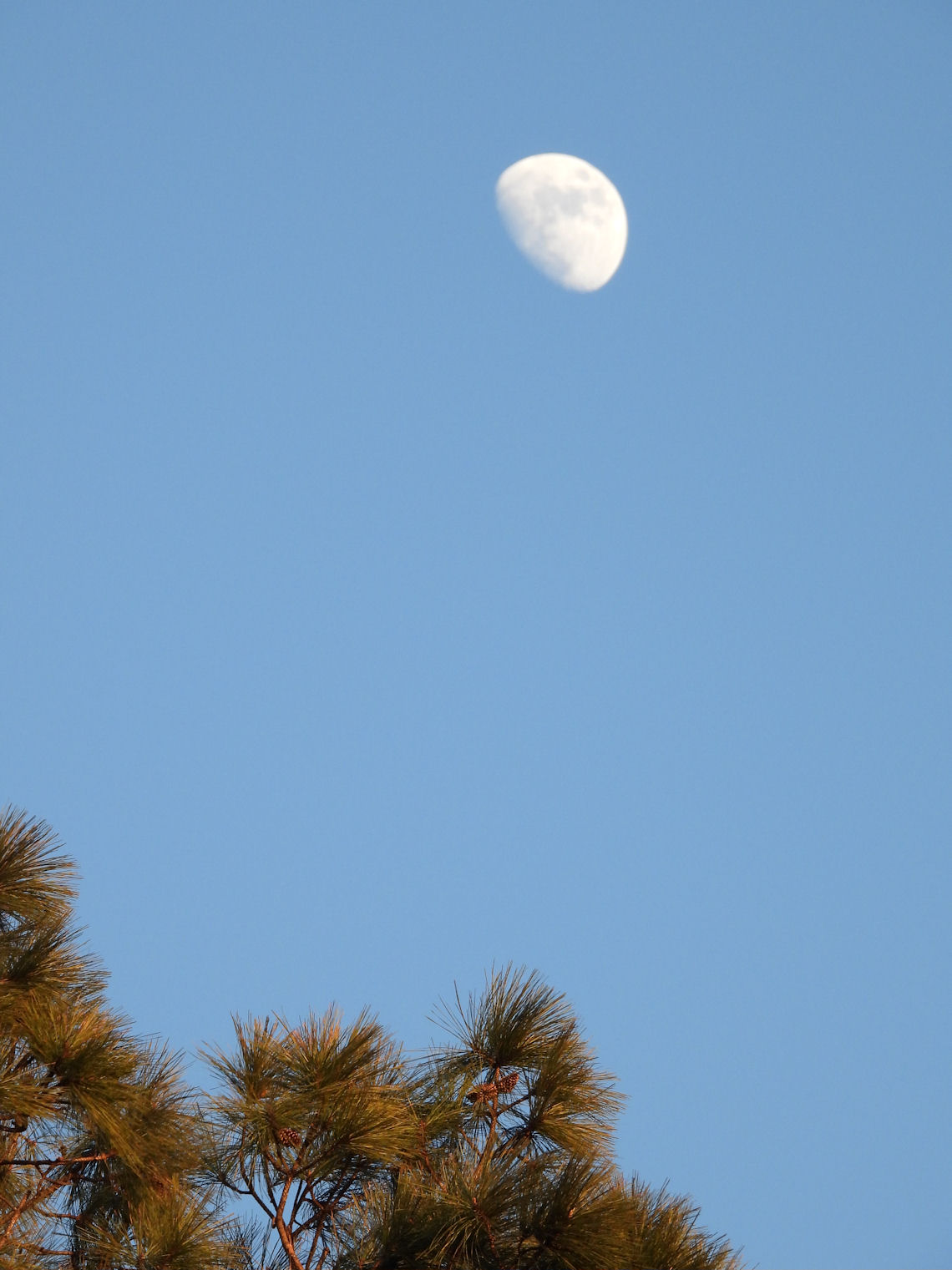 DSCN7803+.jpg