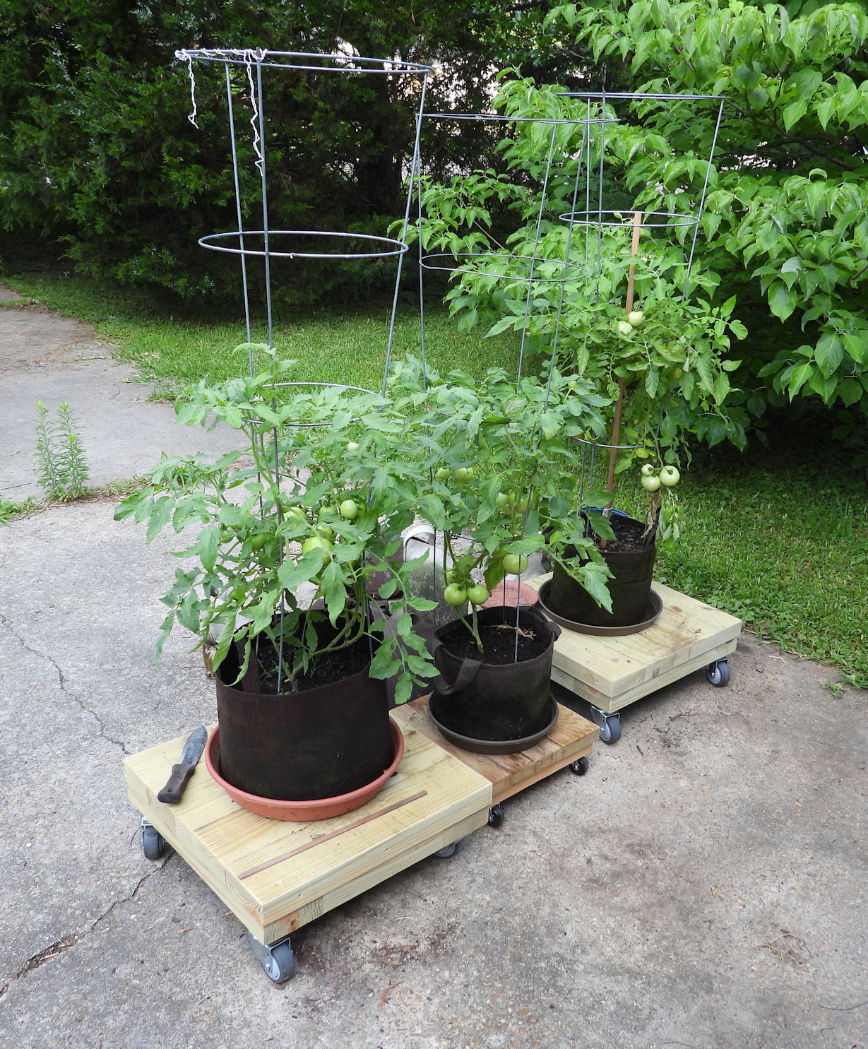 DSCN8170.JPG