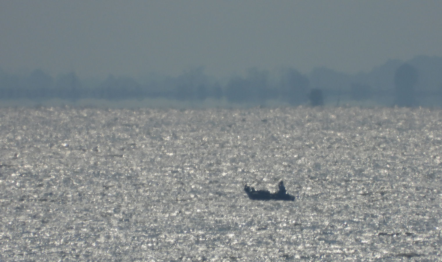DSCN8207+.jpg