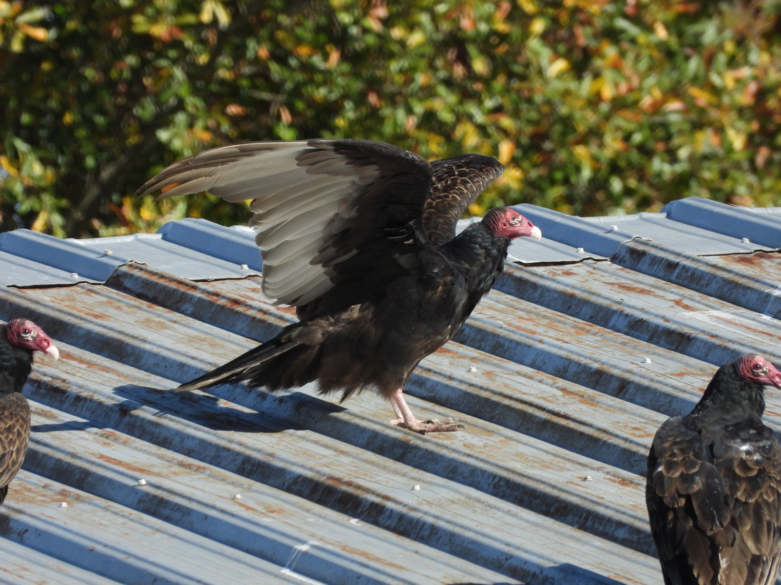 DSCN8753+.jpg